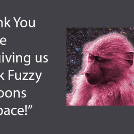 Pink Fuzzy Baboons in Space Part 2