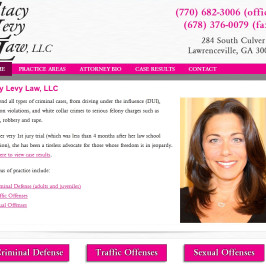 Stacy Levy Law